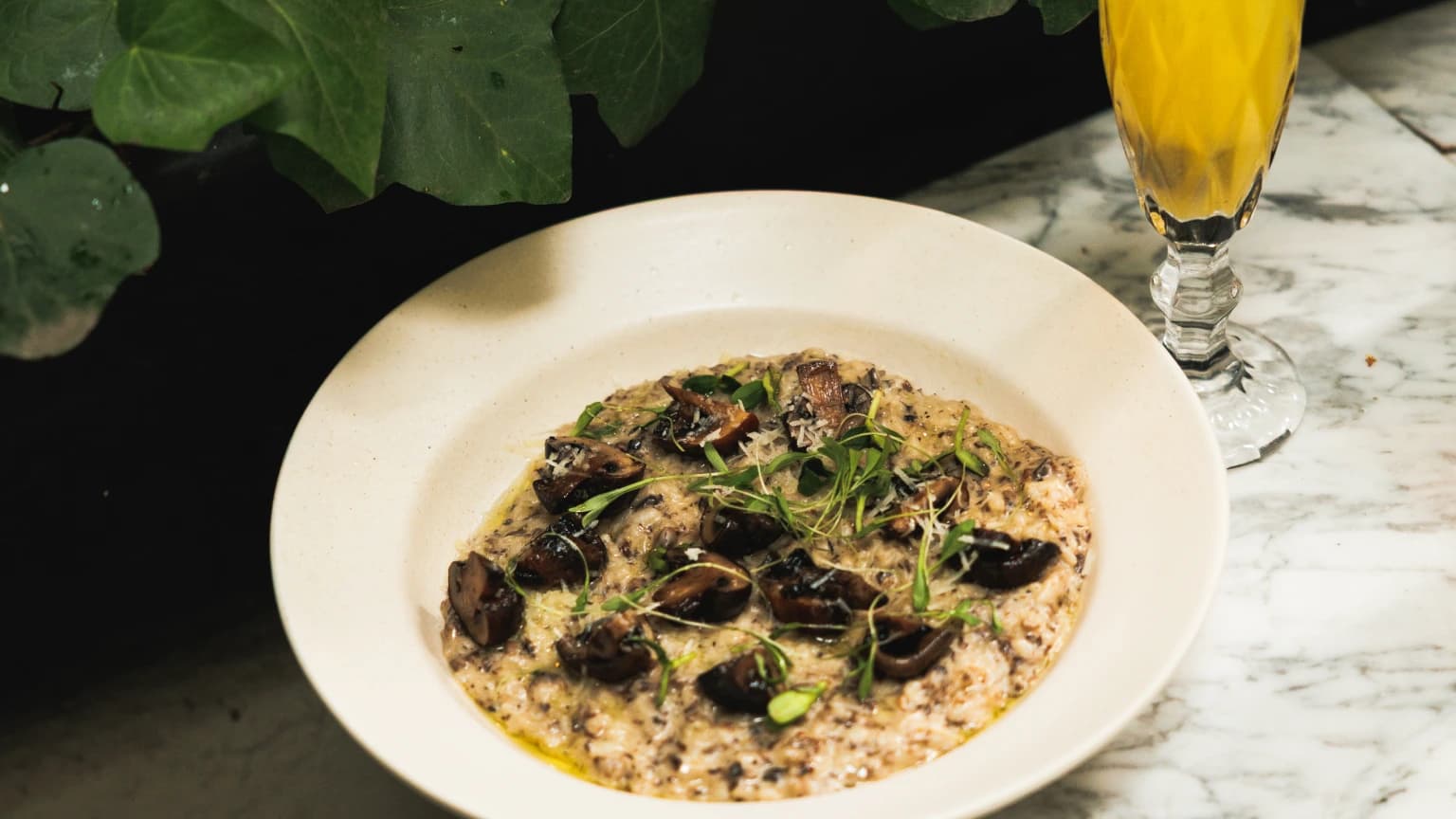 Mushroom risotto with a cocktail, on Aura's marble table