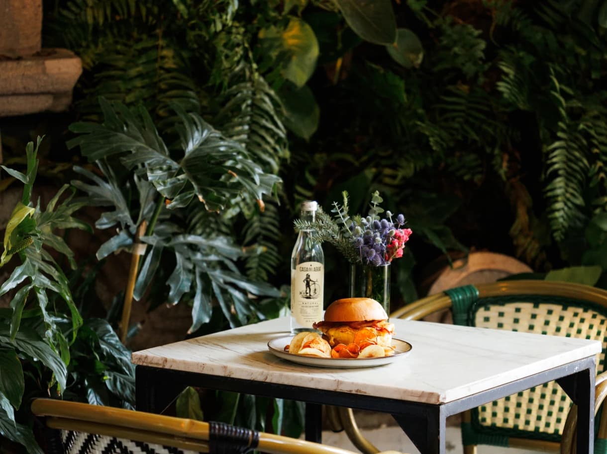 A marble table on Aura's terrace, with a sandwich, a bottled drink and flowers, among ferns