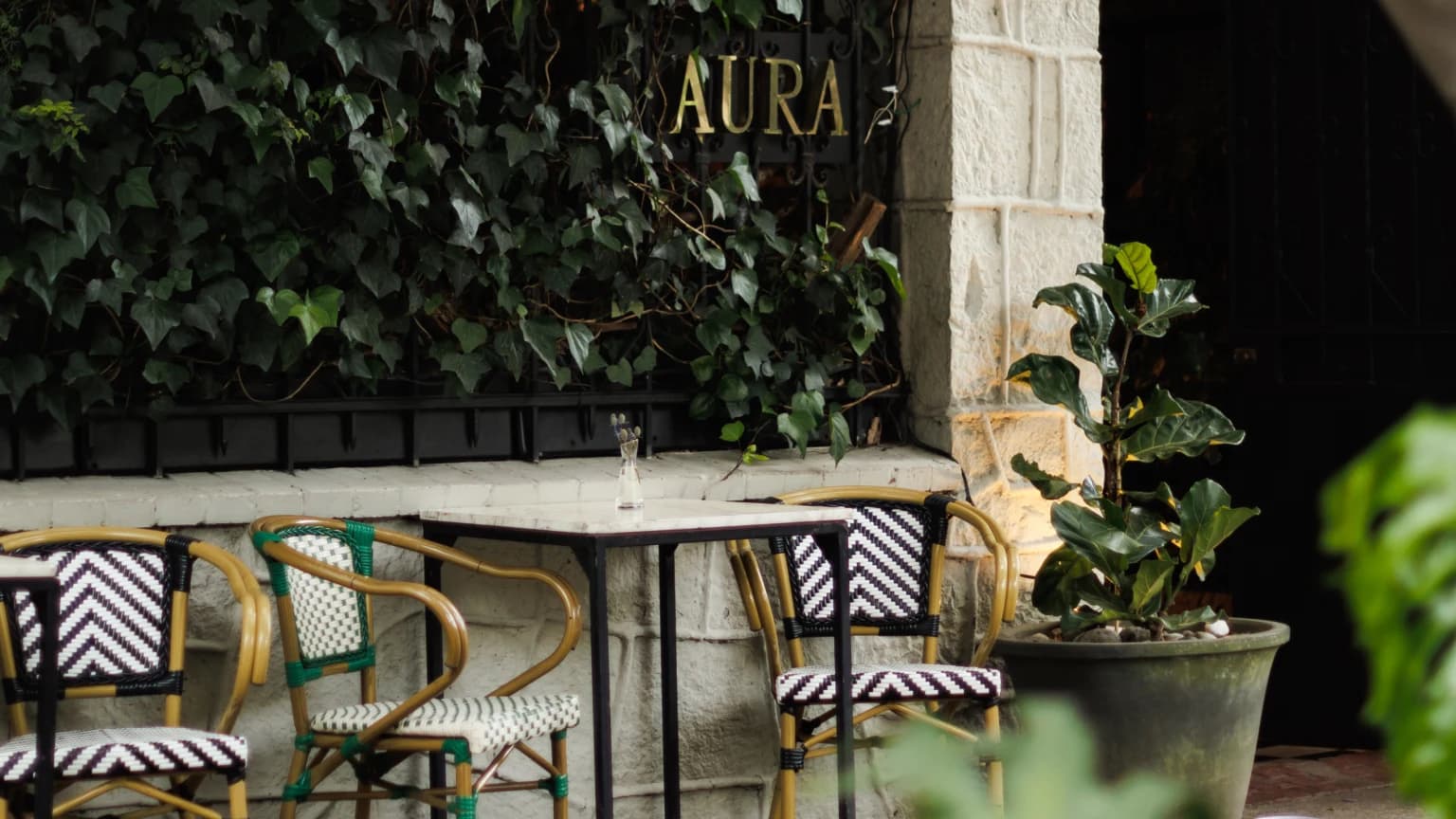 Aura's empty terrace, with the gold sign on the ivy-covered wall and bistro chairs